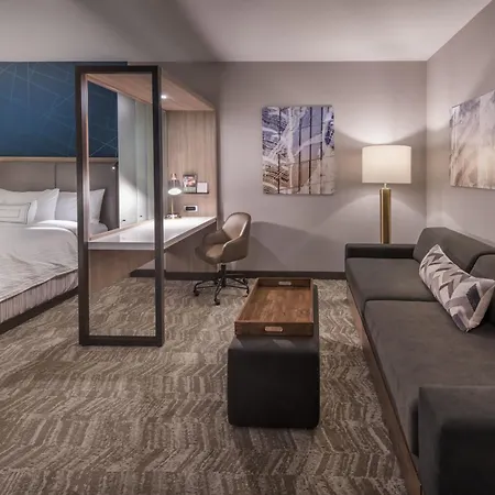 Springhill Suites By Marriott Reno-3